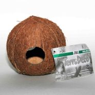 خرید و قیمت نارگیل دکوری جی بی ال – JBL Cocos Cava