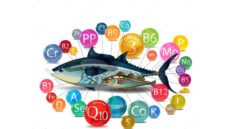چه ويتامين ها و مواد معدنی در تغذيه ماهیان آکواریومی مهم هستند